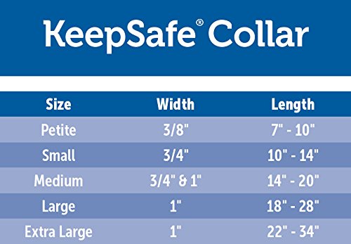 Petsafe Keepsafe Break-Away Collar, Prevent Collar Accidents For Your Dog Or Puppy, Improve Safety, Compatible With Lead Use, Adjustable Sizes