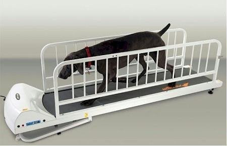 GoPet Treadmills for Dogs Like The PR725 Provide Excellent Exercise for Large Dogs Up to 175 lbs, Includes Dog Leash Bar