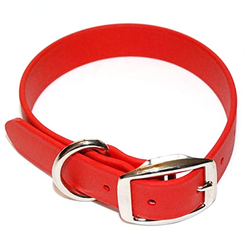 Regal Dog Products Large Red Waterproof Dog Collar With Heavy Duty Double Buckle & D Ring | Vinyl Coated, Custom Fit, Adjustable Pet Collars | Comes In Other Sizes For Puppy, Small And Medium Dogs