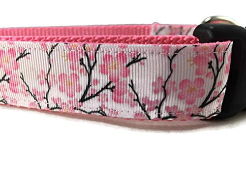 Spring Dog Collar, Caninedesign, Valentine, St Patricks Day, Easter, 1 Inch Wide, Adjustable, Nylon, Medium And Large (Cherry Bl