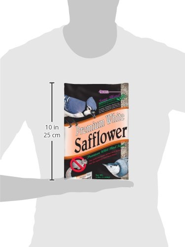 F.M. BrownS Song Blend Premium Safflower Seeds For Pets, 3-Pound, White