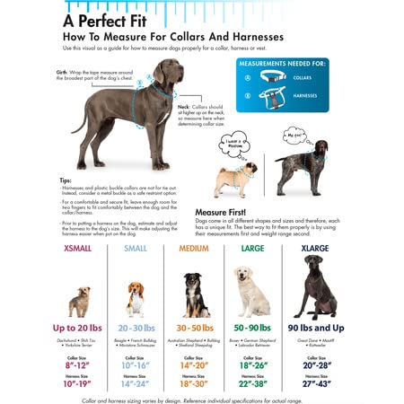Coastal Pet Walk 'N Train Dog Head Halter - Head Colllar Dog Leader - No-Pull Dog Harness - Quick-Drying Polyester - Black - Xlarge