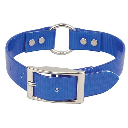 Omnipet Sunglo Ring-In-Center Dog Collar, 1' Wide, Blue, Fits 20.5'- 24' Neck Sizes, Vibrant Colors & Tough Construction For 