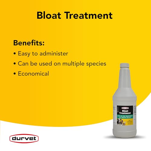 Durvet Bloat Treatment for Cattle, Sheep, and Goats, 12-Ounce Bottle