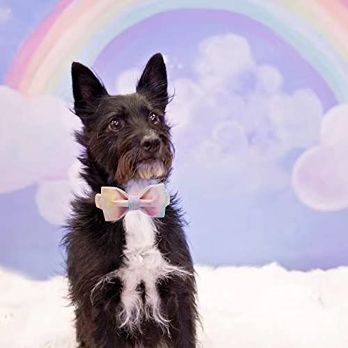 Elegant Little Tail Colorful Dog Collar, Comfortable Dog Collar With Bow Adjustable Soft Bow Tie Dog Collars For Medium Dogs