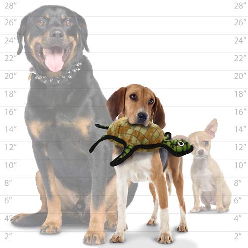 TUFFY Ocean Creature Turtle Dog Toy, Large, Durable Fleece, Green/Brown, Model T-OC-Turtle