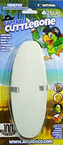 A&E Cage Company Natural Flavoring 5In Cuttlebone Single