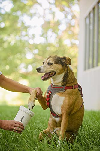 Dexas Mudbuster Portable Dog Paw Washer/Paw Cleaner, Medium, Bright White- Special Edition (Pw71032-22Wp)