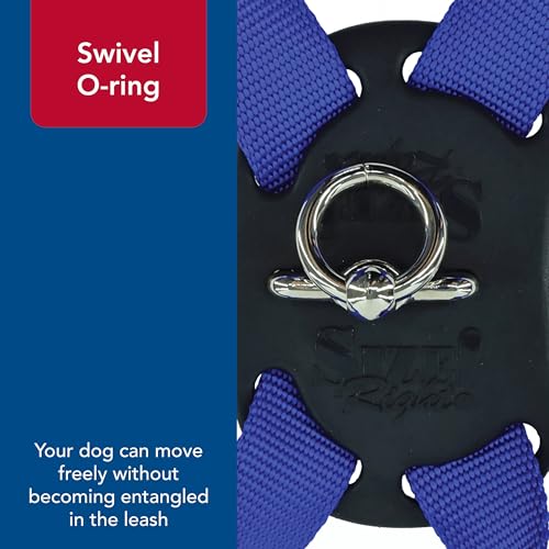 Coastal Pet Size Right Adjustable Dog Harness - Small & Big Dog Harness - Comfortable Dog Training Harness - Includes Snap-Lock Buckle - Quality Dog Supplies - Blue, 3/8' X 12-18'