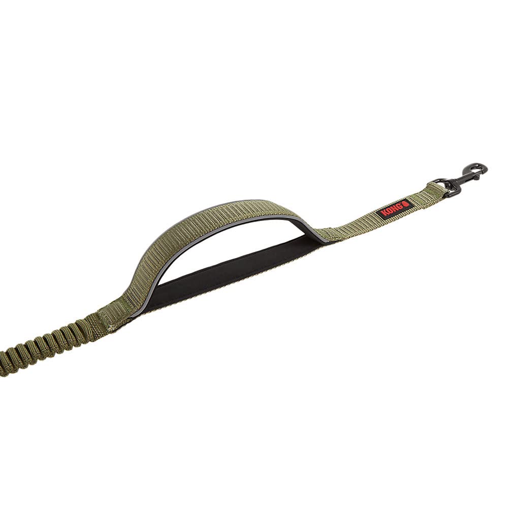 Kong Reflective Shock Absorbing Hands-Free Bungee Dog Leash 6' (Green)