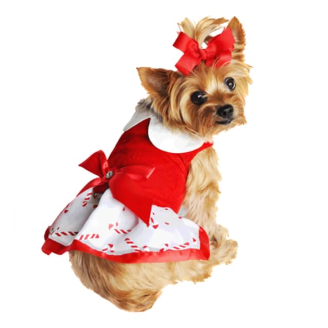 Doggie Design Holiday Dog Harness Dress - Candy Canes (X-Small)