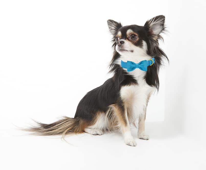 Maca Bates Blue Dog Collar With Bow Tie For Dogs Solid Colors Bowtie Soft Adjustable Breakaway Puppy Collars Birthday Gift For S