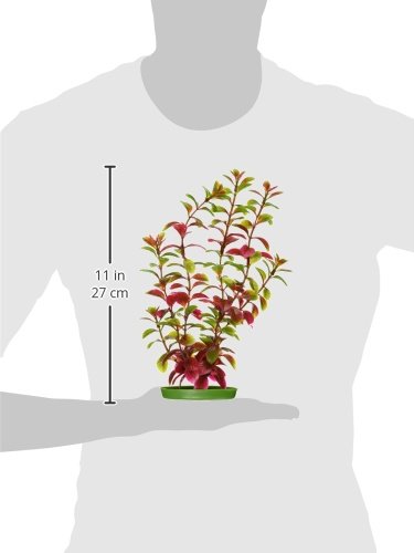 Marina Aquascaper Fish Tank Decorations, Red Ludwigia Plant, 12-Inch