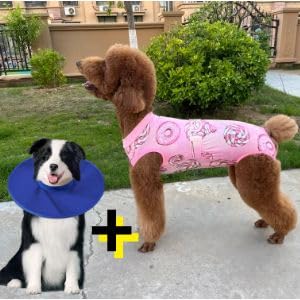 Xqpetlihai Recovery Suit for Dogs Dog Surgery Recovery Suit Female Dog Recovery Suit After Surgery Dog Surgery Recovery Suit(SW-
