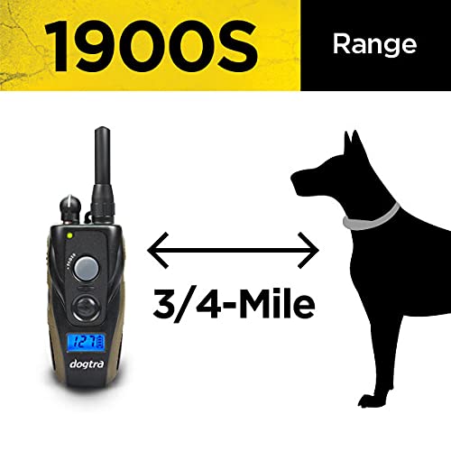 Dogtra 1900S Rechargeable E-Collar for Dogs, 3/4 Mile Range, Adjustable Levels, Black - 1 Dog (Previous Gen)