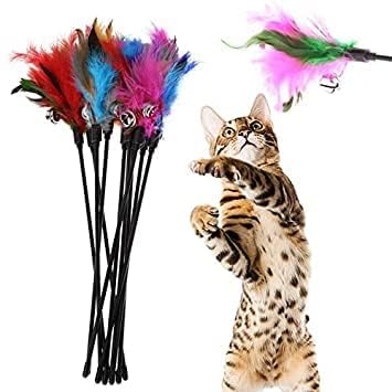 Dog Trust Interactive Cat Teaser Wand Cat Worm Feather Toys With Loud Bell Squiggly  21 Long Wand For Cat And Kitten (Pack Of 