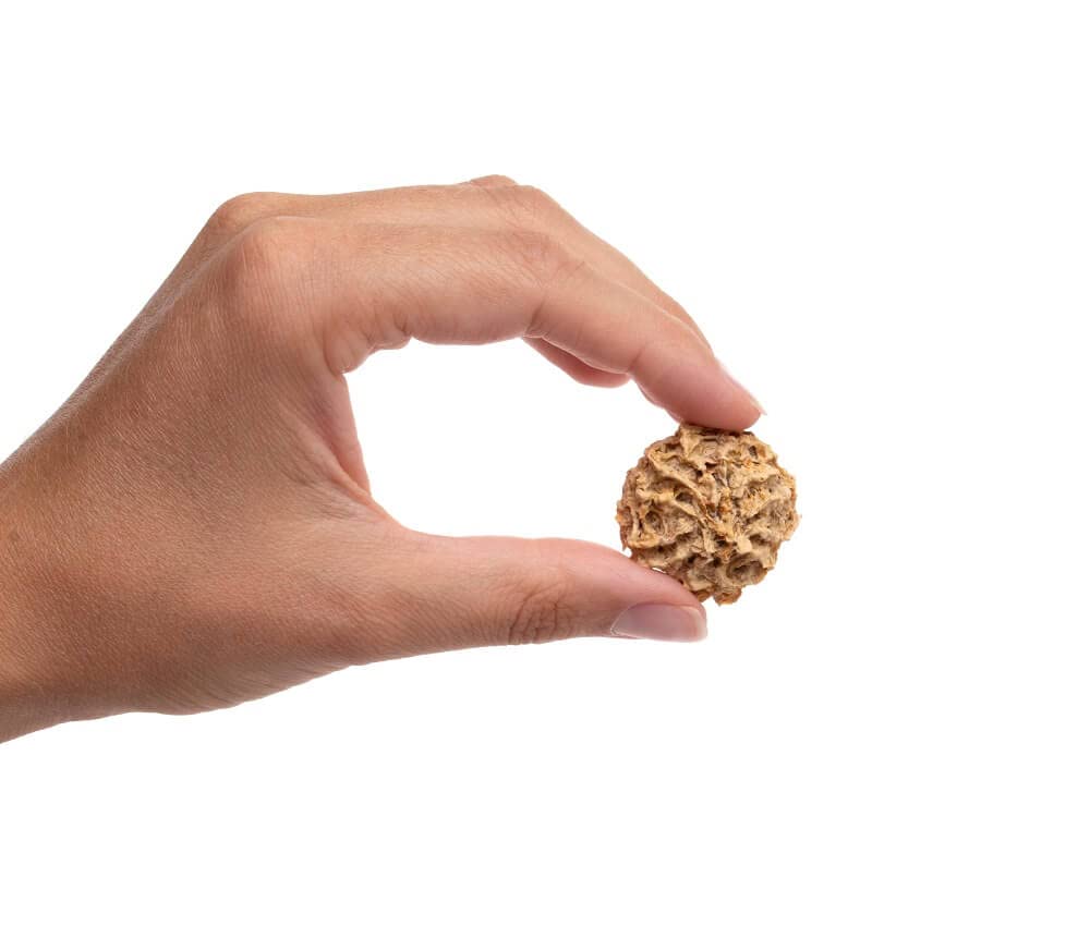 Chicken & Sweet Potato Cookie Dog Treats (1 Pound)