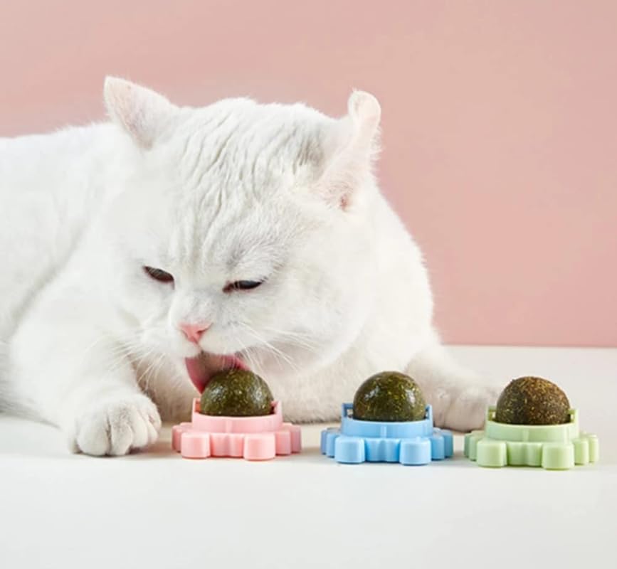 Bohobark Cat Catnip Ball For Cats  Kitten Playful Biting Licker Toy | Natural Catnip Licking Penguins Shape Ball For Oral Care,