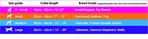 Doog - Soft And Breathable Neoprene Padded Adjustable Dog Collar Available: Xsmall, Small, Medium, And Large Dogs And Puppies For Walking, Running, Water Friendly Pool Lake Beach Swimming