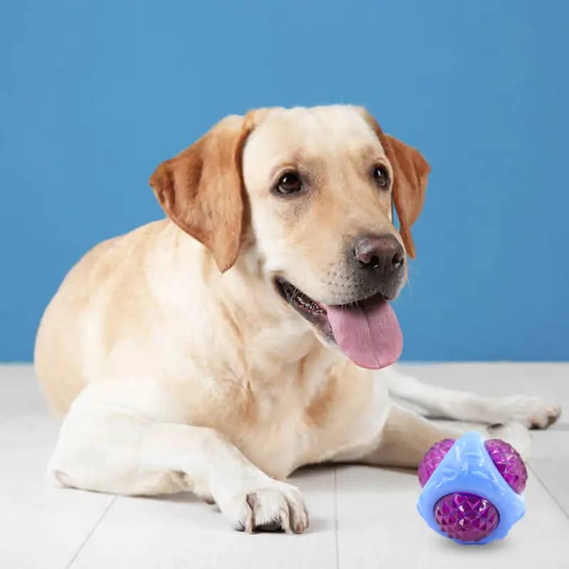 Woofy Dog Floating Ball Pet Interactive Diamond Cut Led Whistle Squeaky Squeaker Ball Chew Toy for Dogs and Cats (Multicolor)