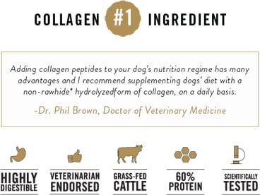 TRURANCH Collagen Sticks - 5 Collagen Sticks for Dogs - Long Lasting Healthy Joint Support Dog Treat - Rawhide Alternative - Ski