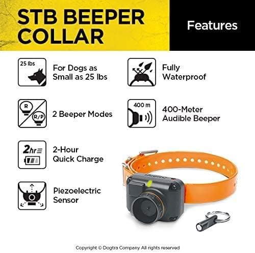 Dogtra STB Beeper Collar - Orange Hunting Dog Collar for Upland Gun Dogs, One Size (25 lbs and Up)