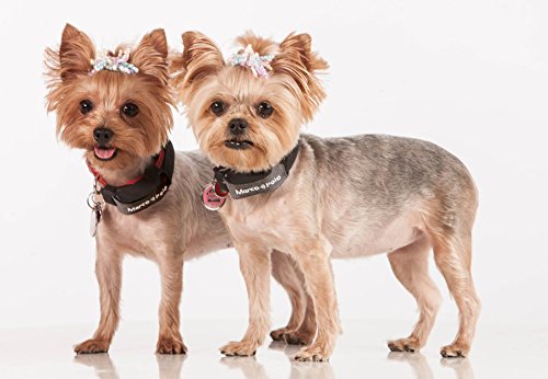 Eureka Technology Marcopolo Advanced Pet Tracking Tag Accessory For Pet Monitoring, Tracking And Locating System