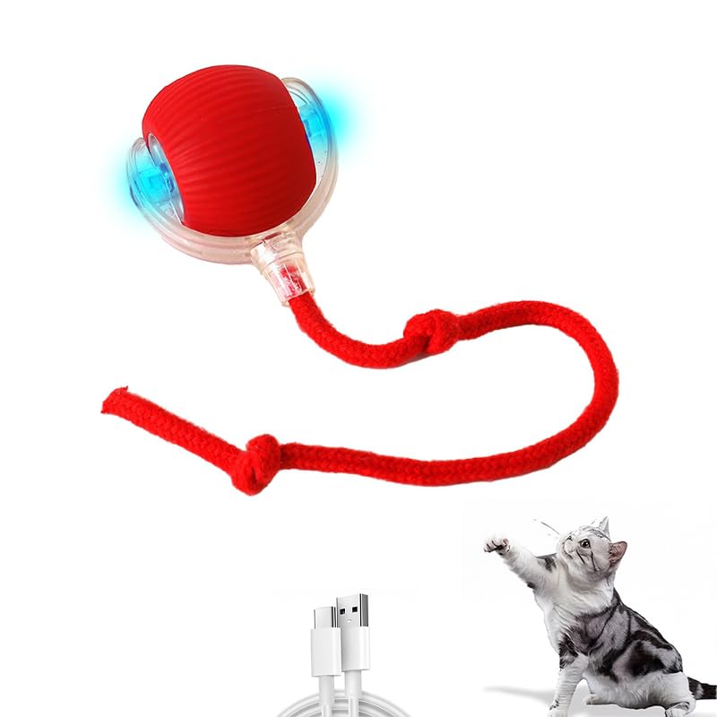 Zibuyu Rolling Ball Interactive Cat Toys, Electric Toys For Dogs Rolling Ball With Speedy Tail Rope, Smart Automatic Moving Chas