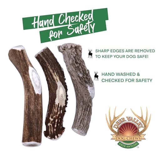 Deer Valley Chews Premium Deer Antler for Dogs - Large 6-7 Inches Long, Single Antler - All Natural Dental Treat for Teething an