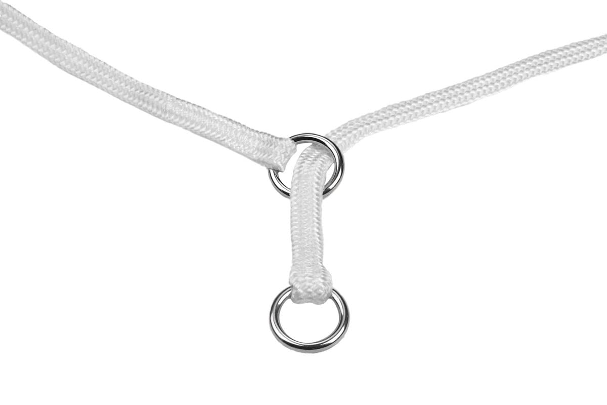 Show Slip Collar - Conformation Dog Collar - Perfect for Small Pups to Large Dogs - Home Designer Dog Collar for Dog Shows for B