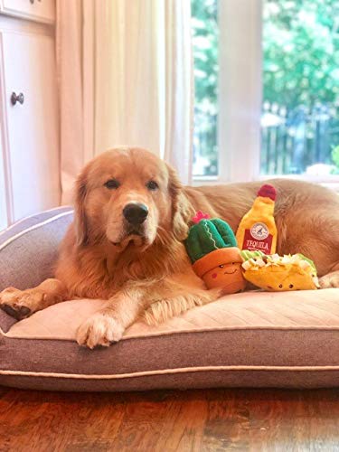 Fun Dog Toy