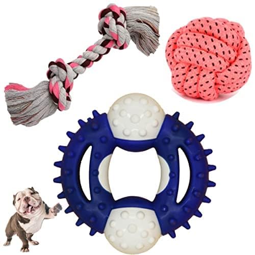 Dog Trust Dog Chew Toys + Chew Toys for Dogs Adult + 2 Knots Dog Rope Toys + TPR Hard Chew Spike Ring (3.5 Inch) + Rope Cotton B