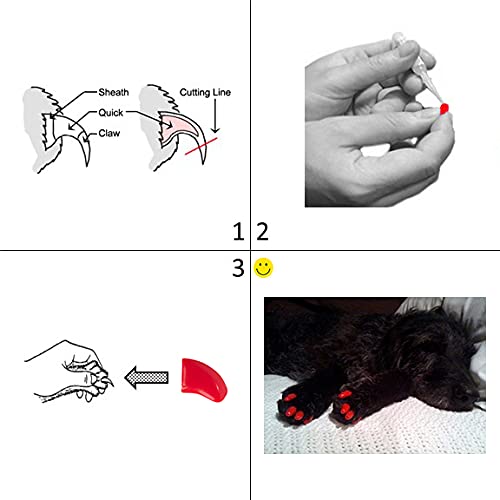 Purrdy Paws 40-Pack Soft Nail Caps for Dogs Claws Clear X-Small