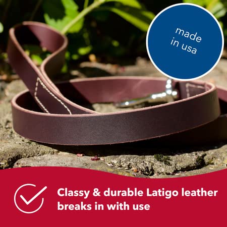 Coastal Pet - Circle T Latigo Leather Dog Leash - Comfortable And Weather-Resistant Dog Leash For Training - Perfecr For Puppies & Dogs - 3/4' X 6'