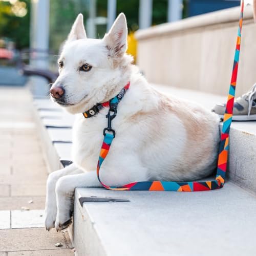 Wolfgang Heavy Duty Dog Leash, Pull-Tested To Over 800 Lbs For Walking & Training, Shattershapes Print, Large