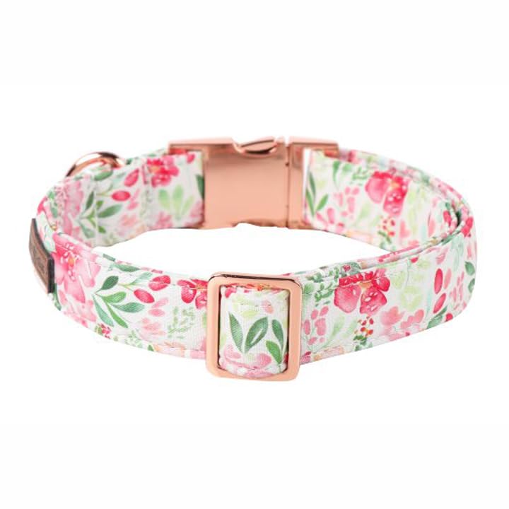 Lionet Paws Dog Collar, Comfortable Adjustable Cute Collar With Metal Buckle For Male Female Puppies, Pink Flower, Xs, Neck 8-12