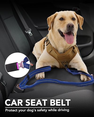 Joytale Tactical Dog Leash - 4-6FT Shock Absorbing Bungee, Nylon, Navy Blue, Model J-A36004-NB, Heavy Duty with 2 Padded Handles