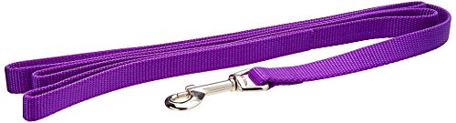 Coastal Pet Products Dcp406Pur Nylon Collar Lead For Pets, 5/8-Inch By 6-Feet, Purple