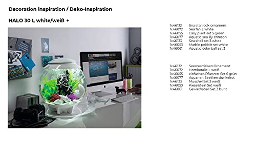 Biorb 46133.0 Sea Shell Set 3 White Aquariums