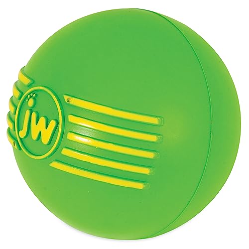 JW Pet Dog Isqueak Ball Dog Toy, Large, (Assorted Colors)