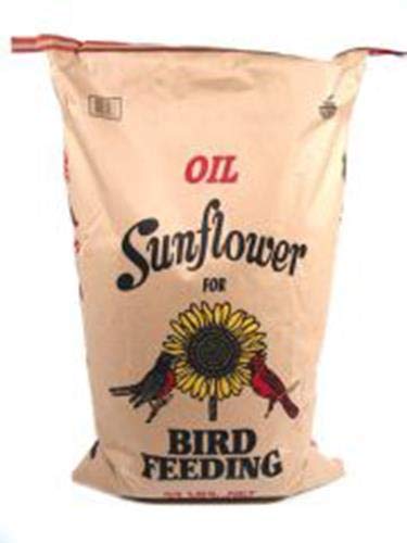 Shafer Seed Company 114162 Sunflower Seed 100-Percent Oil Bci Gen 25Lb