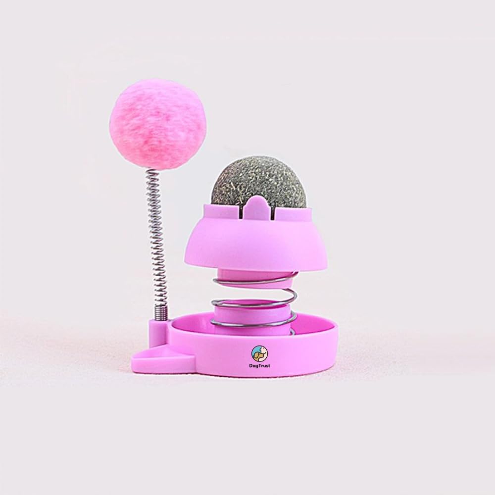 Dog Trust Catnip Licking Ball For Cats  Natural Rotating Catnip Wall Toy | Teeth Grinding, Oral Care & Interactive Play For Cat