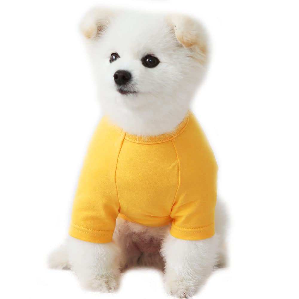 Lucky Petter Dog Shirt For Small Dogs Plain T-Shirts Soft Breathable Dog Cotton Shirt Pet Clothes (X-Small, Yellow)