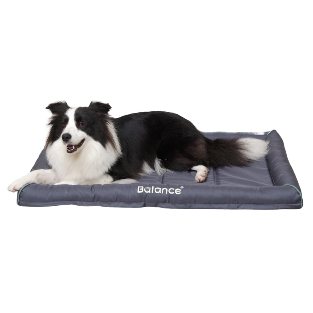 Balance Heavy Duty Oxford Dog Bed For Dog Crates, Waterproof Dogs Crates Pad Outdoor Durable Puppy Crate Mat, Wipe Clean & Easy 