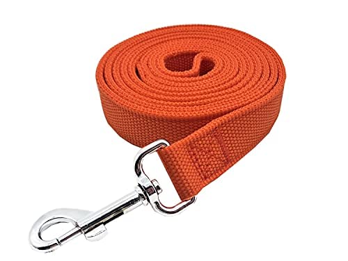 Strong Nylon Dog Leash With 2-Layer, 4 Ft/ 6 Ft/ 7Ft Long, 1 Inch Wide For Medium Large Dogs (Orange, 1'' X 2 Ft)