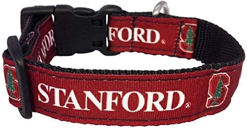 College Dog Collar (Medium, Stanford)