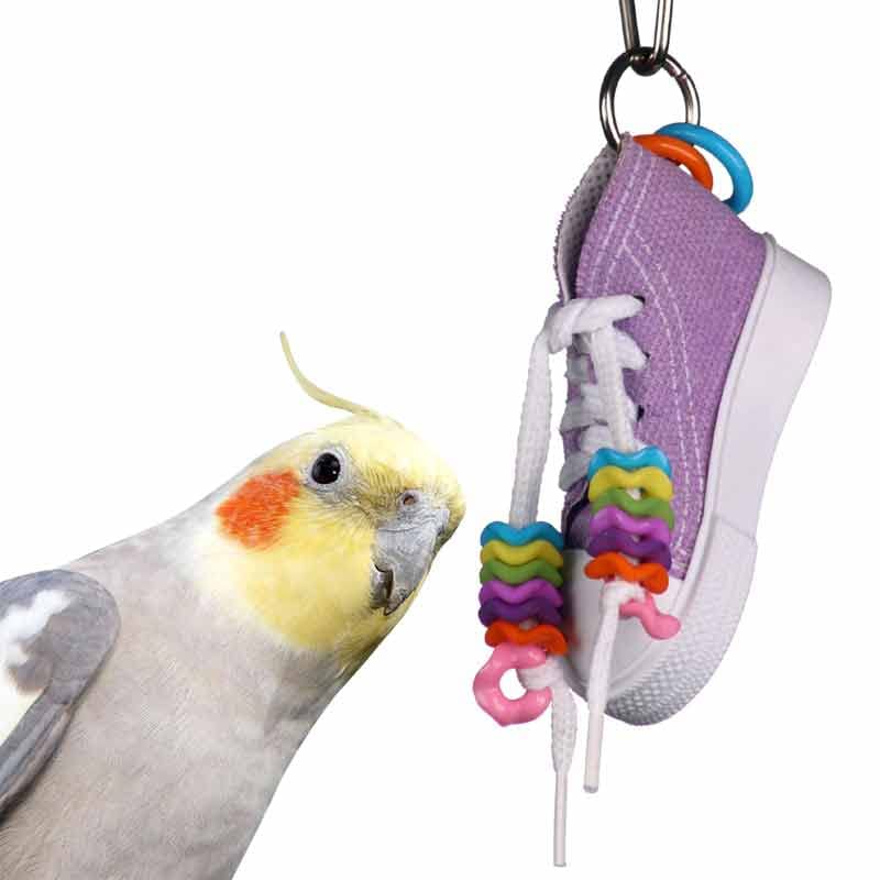 Super Bird Creations SB719 Beaker Sneaker Bird Toy for Parrotlets, Parakeets, Cockatiels, Lovebirds, ringnecks, Medium Conures -