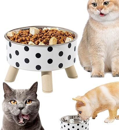 Waqif Cat Bowls, Tilted Cat Food Bowl With Anti Slip Band, Stress Free, Elevated Porcelain Pet Bowl Protect PetS Spine, Backflo