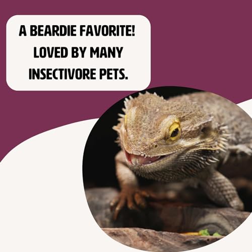 Flukers Freeze Dried Dubia Roaches for Reptiles