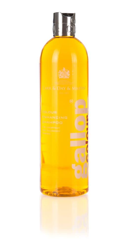 Carr & Day & Martin Horse Gallop Colour